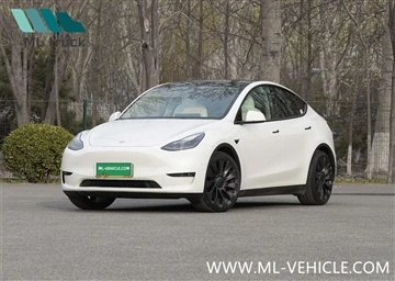 Tesla Model Y blir den näst mest sålda modellen i Nordamerika